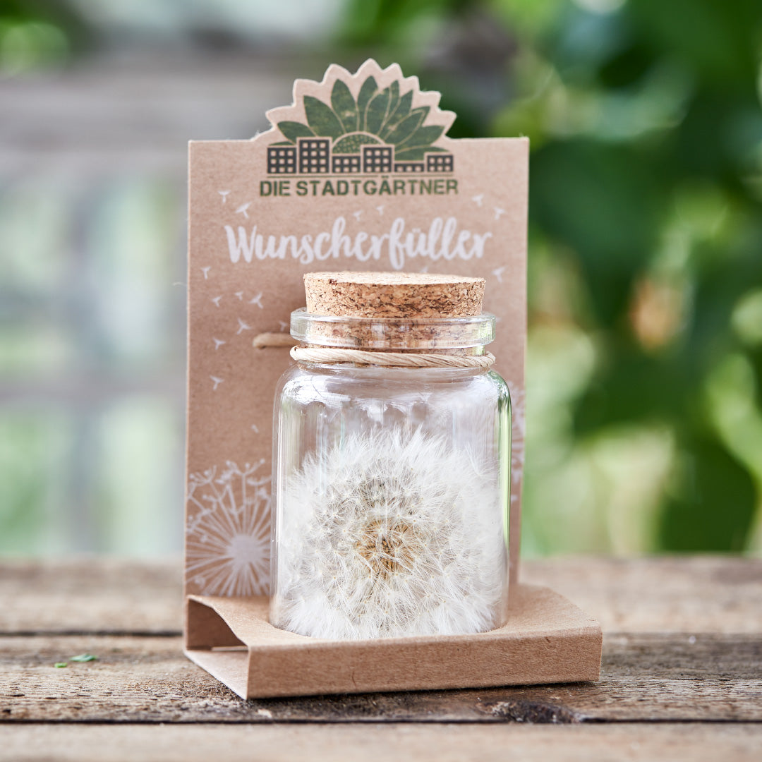 Wunscherfüller (DE, ES, FR, EN)