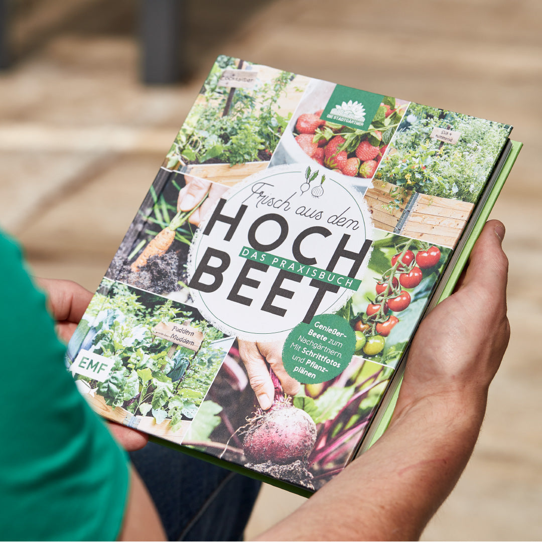 Buch - Frisch aus dem Hochbeet