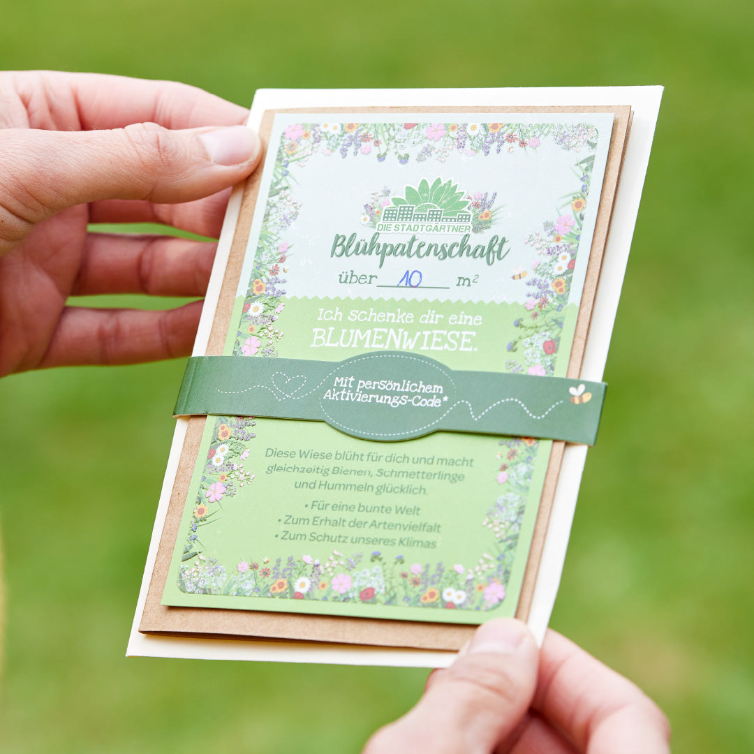 Blühpatenschaft - 10 qm Blumenwiese